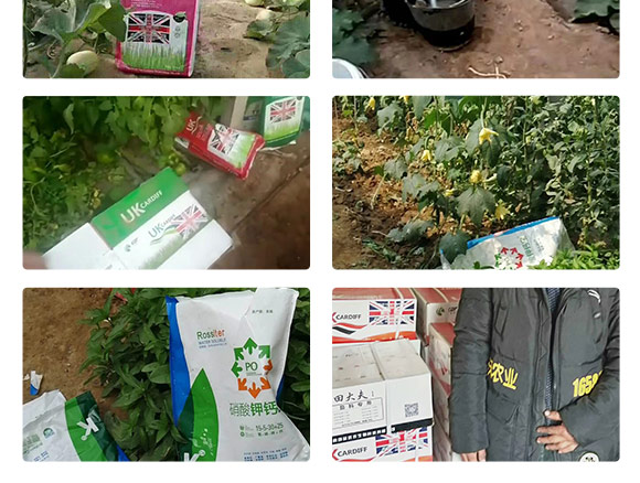 英国卡��_夫（北京�Q�农业科技有限公司产品2_08.jpg