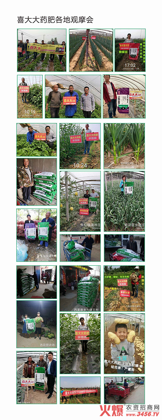 ɽ�|ʡ�읙(r��n)�����r(n��ng)���Ƽ����޹�˾