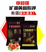 �½�����ú��ֲ�����޹�˾