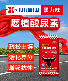 �������B�Ļ��W(xu��)���I(y��)���F(tu��n)�ɷ����޹�˾