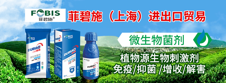 �Ʊ�ʩ���Ϻ����M(j��n)�����Q(m��o)�����޹�˾