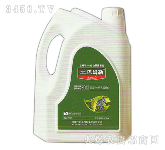 ����ˮ�����嵰��-�������ӌ���-��ķ��