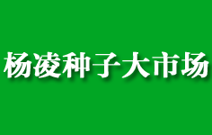 ����N�Ӵ��Ј�