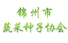 �\�����߲˷N�Ӆf(xi��)��