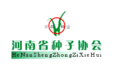 ����ʡ�N�Ӆf(xi��)��