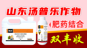 ɽ�|���՘�����ƌW(xu��)���޹�˾