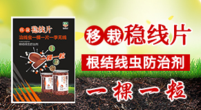 ���_����Ƽ����޹�˾