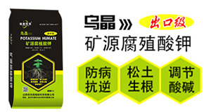 ɽ�����Ѹ�ֲ��Ƽ����޹�˾