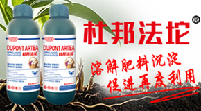 �Ű�W(xu��)��ɽ�|�����޹�˾