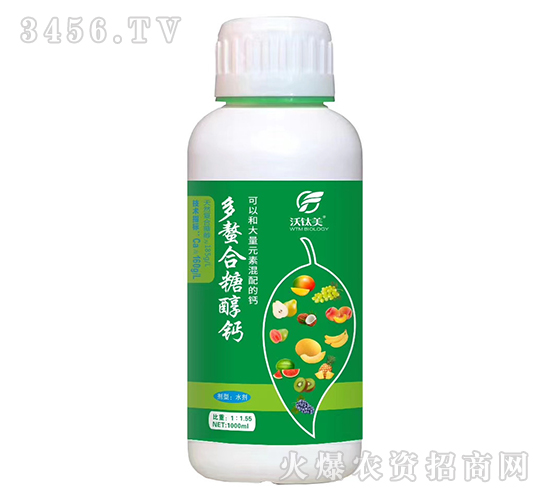 �������Ǵ��}-�����