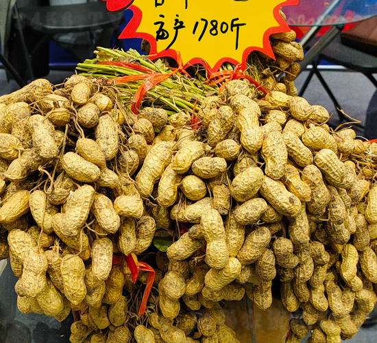 ������1̖(h��o)�����N��