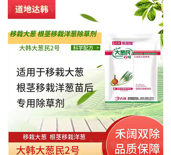 ���Դ��[���o�������[���������݄�-���[��2̖(h��o)-�����_(d��)�n