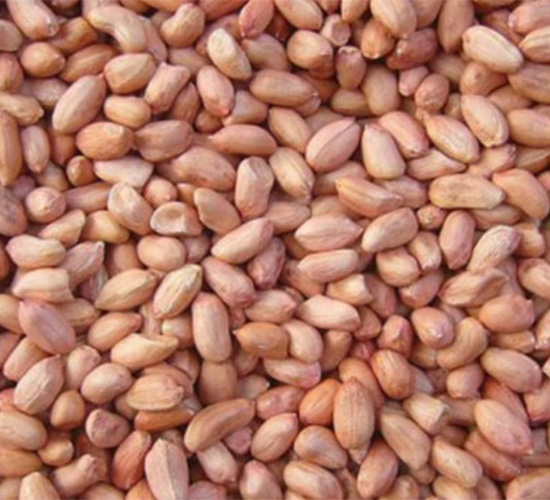 ����16̖(h��o)-�����N��-���S�r(n��ng)�I(y��)