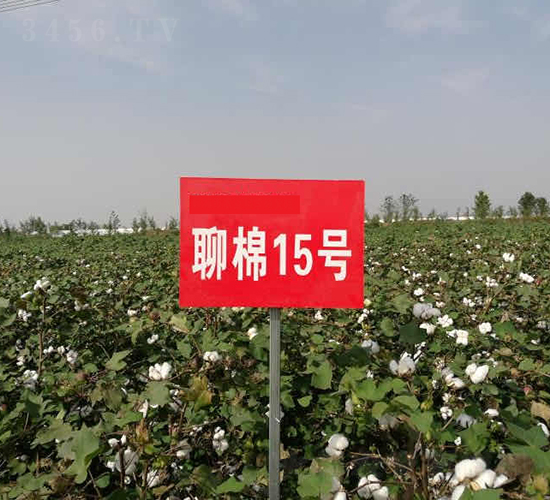 ����15̖-�޻��N��-�y�d�N�I(y��)