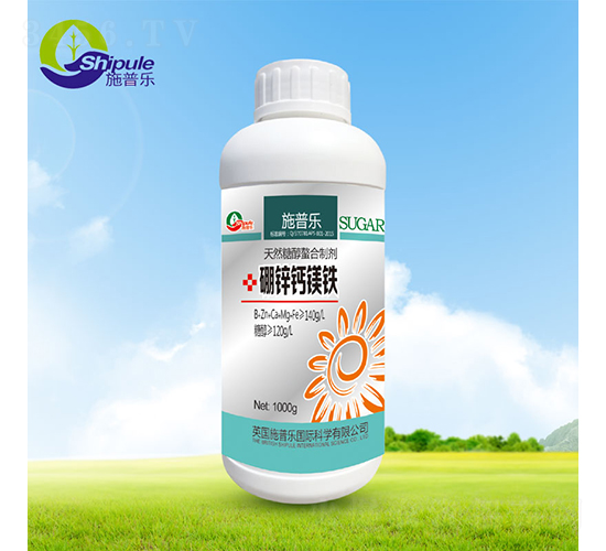 ���\�}�V�F-����-ʩ�՘�