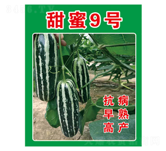 ��ϷN��-����9̖(h��o)-���S�r(n��ng)�I(y��)