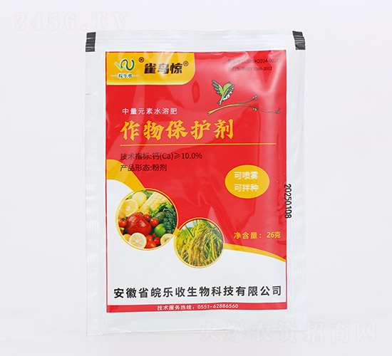 ���ﱣ�o(h��)��-ȸ�B�@-�������