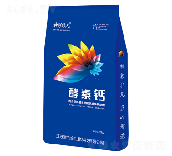 �����}-��ʷǷ�-������