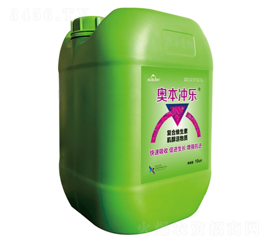 �W���_��-ϲ��{��