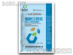 ��(x��)��������-ʢ��(r��n)�߿� 