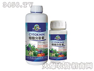 ��(x��)��������-��(y��u)��-�������� 