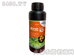 ħ���t��-��(qi��ng)�r(n��ng)����