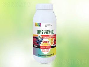 ���\�}�V�F-�䠖-�|����(r��n)�� 