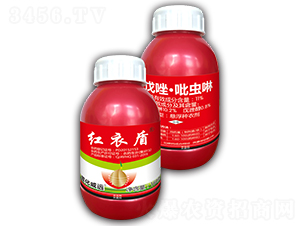 11%�������x���Ҹ��N��-�t�¶�-�滯���h