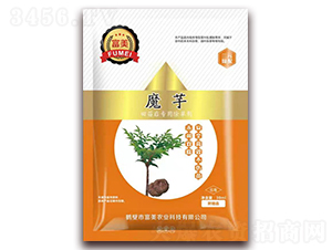 ���rƤ�|�����ˎ�ĳ��݄�-���� 