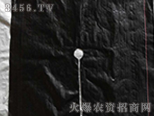 ���ݵز�-����