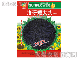 ���տ��N��-���а����^-����