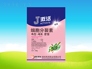 ��(x��)��������-����-�n��ʘI(y��) 