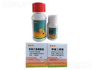 С������݄�-�a˼��-�S�՘�