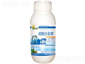 ƿ�b��(x��)��������-���՘�(l��)-��(r��n)�ɷʘI(y��) 