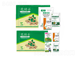 ��������݄�-���Tʿ-�S�՘�