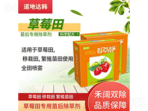 ��ݮ���(zhu��n)�ó��݄�-��ݮ�o-�����_(d��)�n