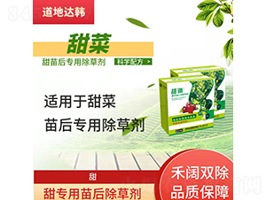 ��ˌ�(zhu��n)�������݄�-���z-�����_(d��)�n