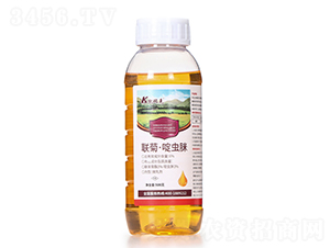 6%(li��n)�ա���x(ch��ng)��΢�鄩-�P���