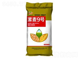 ����9̖(h��o)-С���N��-�h���N�I(y��)