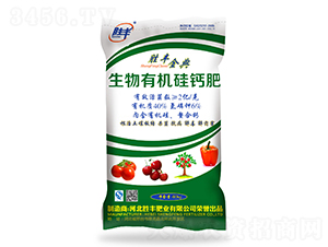 �����ЙC(j��)���}��-���S���-���S�ʘI(y��) 