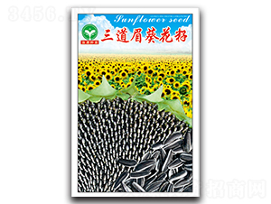 ����ü������-�����N��-ȪԴ