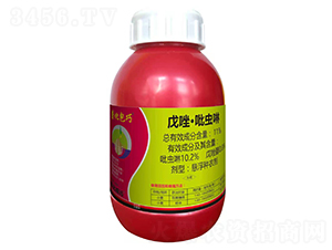 11%�������x���Ҹ��N��-�滯����-�滯���h