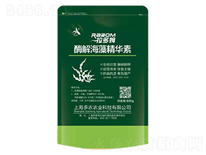 ø�⺣�徫�A��-����ķ-���r(n��ng)�r(n��ng)�I(y��) 