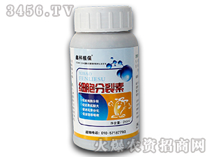 ֲ���{(di��o)��(ji��)��-��(x��)��������-������˹ 