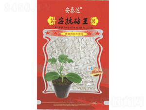 ��������-�ϹϷN��-��̩�_(d��)