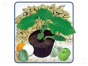 ��������һ̖(h��o)-�����ľ-��̩�_(d��)