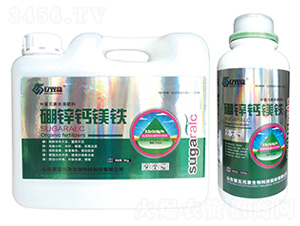 ���\�}�V�F-�|�p�A-����Ԫ�� 