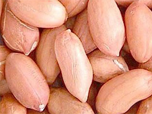 ����1̖(h��o)-�����N��-���S�r(n��ng)�I(y��)