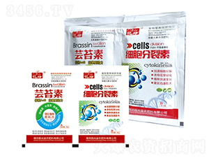 �|̦��+��(x��)��������-��(gu��)�����r(n��ng) 