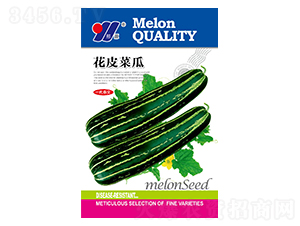 ��Ƥ�˹�-��ϷN��-��Դ�r(n��ng)�I(y��)